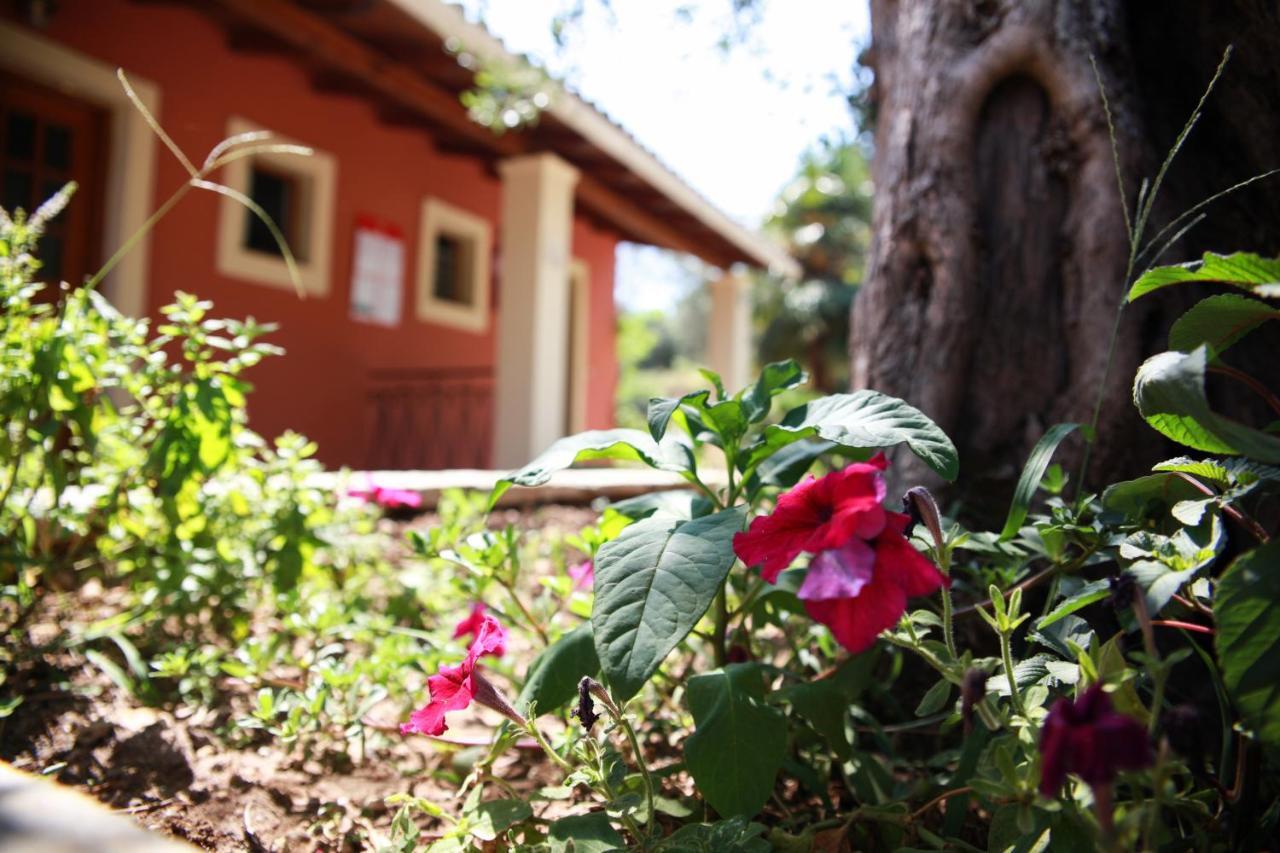 Aristea Studios Kato Korakiana Exterior foto
